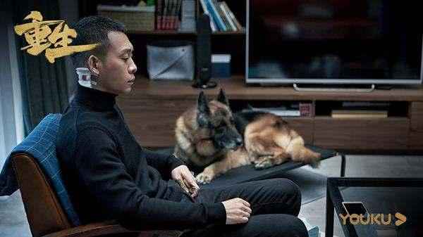 网剧《重生》独立案件烧脑 人际关系等话题引热议